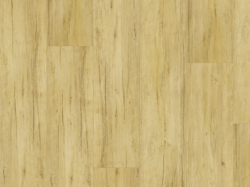 FATRA Thermofix pro wood Buk brazilský 14173-1