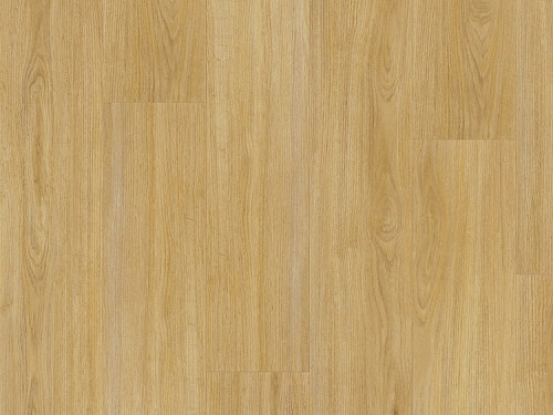 FATRA Thermofix pro wood Dub přírodní 14174-1