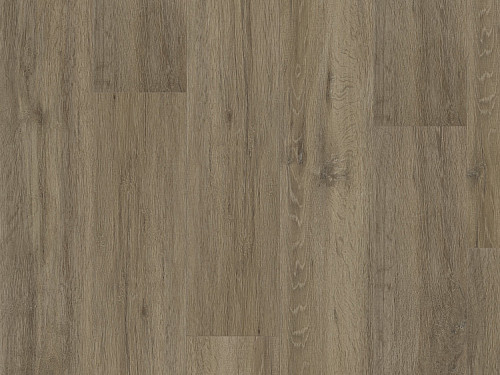 FATRA Thermofix pro wood Dub mayský 14177-1