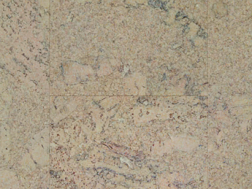 AMORIM WICANDERS Wise cork inspire Shell jasmin 80003483