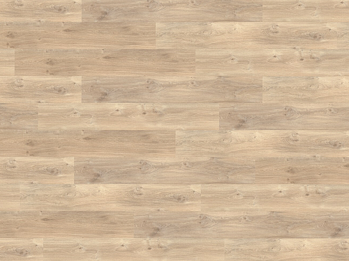 FLOOR FOREVER XL Dub jasmínový 79994