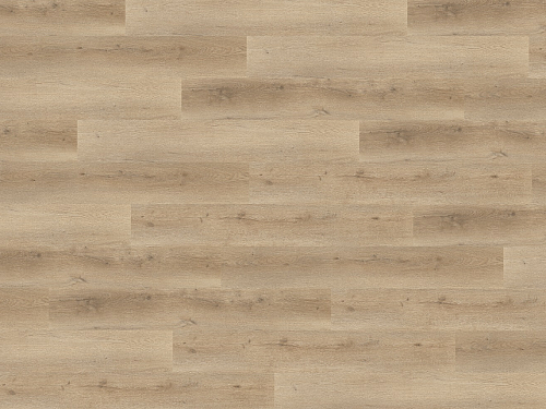 FLOOR FOREVER XL Dub kartáčovaný přírodní 79999