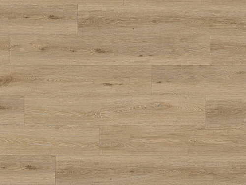 GERFLOR Creation 55 clic acoustic Aquinoah nature GERCAC55 1707