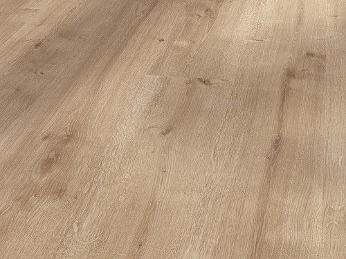 PARADOR Basic 200 Dub broušený jemně matná struktura 1593564