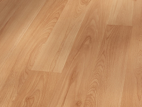 PARADOR Basic 200 Buk struktura dřeva 1440984