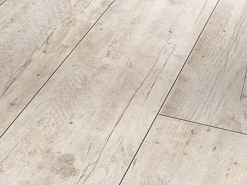 PARADOR Trendtime 6 Stavební dřevo struktura uříznutého dřeva 1473988