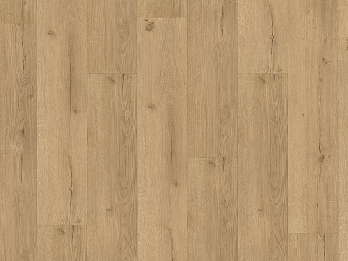 PARADOR Basic 30 Dub Infinity přírodní svěží struktura 1730634