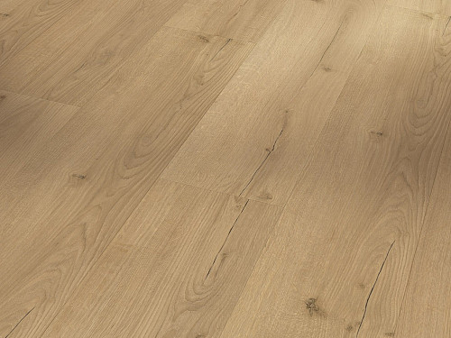 PARADOR Basic 30 Dub Infinity přírodní svěží struktura 1730634