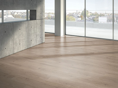 PARADOR Basic 2.0 Dub Infinity šedý svěží struktura 1730800