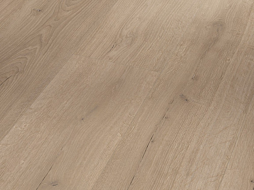 PARADOR Basic 2.0 Dub Infinity šedý svěží struktura 1730800