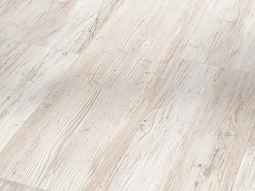 PARADOR Basic 2.0 Pinie skandinávská bílá kartáčovaná struktura 1730795
