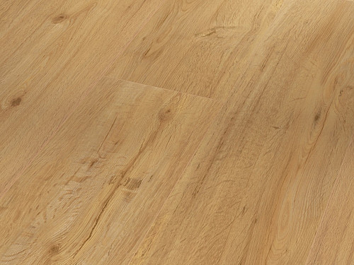PARADOR Basic 5.3 SPC Dub přírodní kartáčovaná struktura 1743004